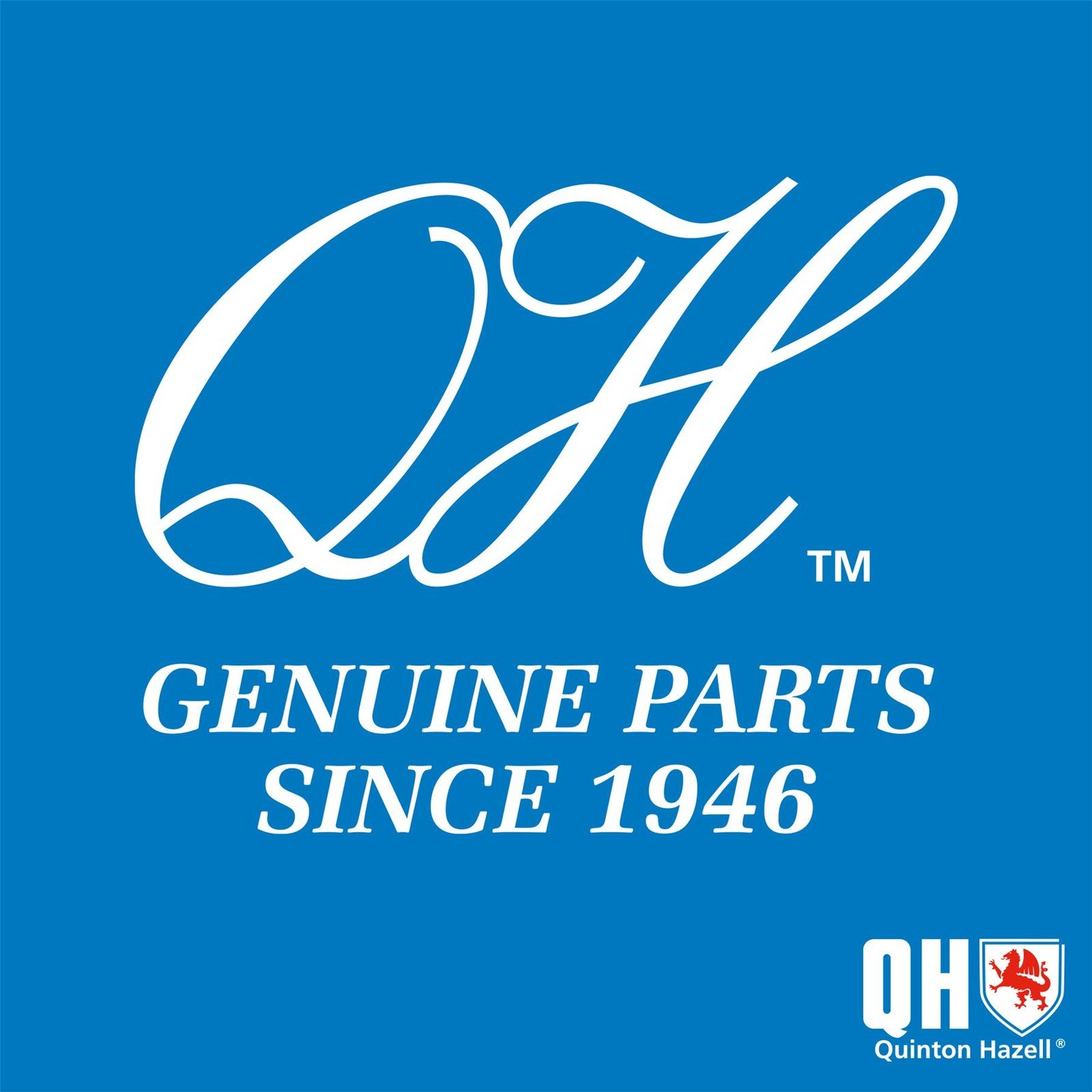 Genuine QH Nissan Juke Shock Absorber Front Axle Right & Left, photo 4